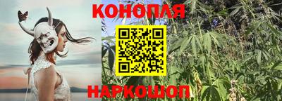 твердый Будённовск
