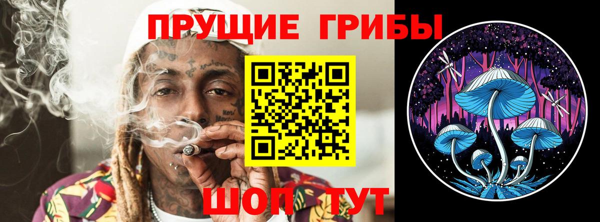 Галлюциногенные грибы мухоморы Черемхово