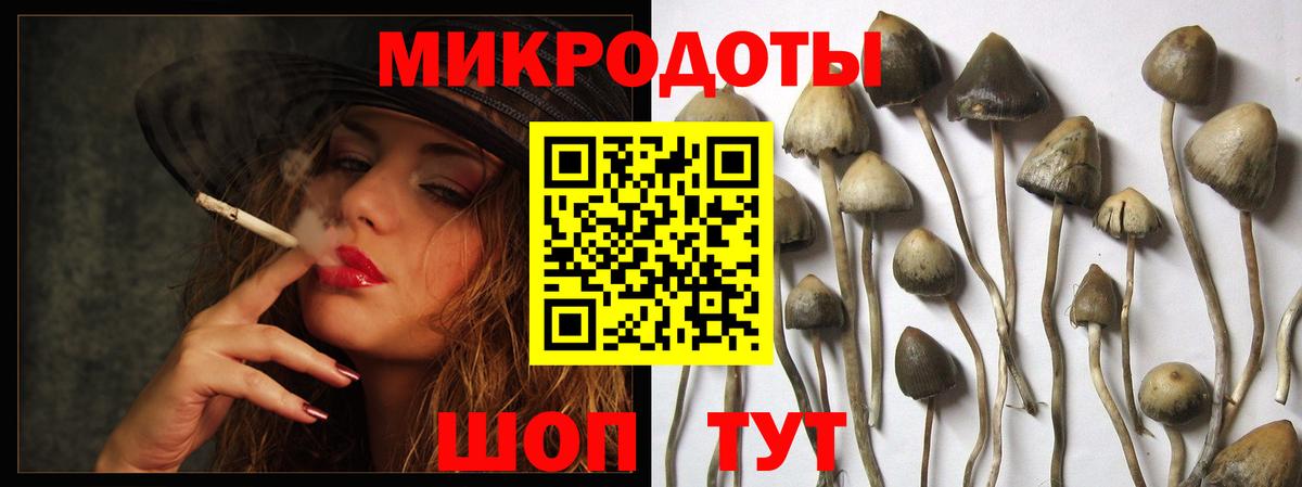 Псилоцибиновые грибы ЛСД  Псилоцибиновые грибы MAGIC MUSHROOMS  Вход с VPN  Черемхово 